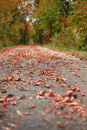 Fall in Ohio