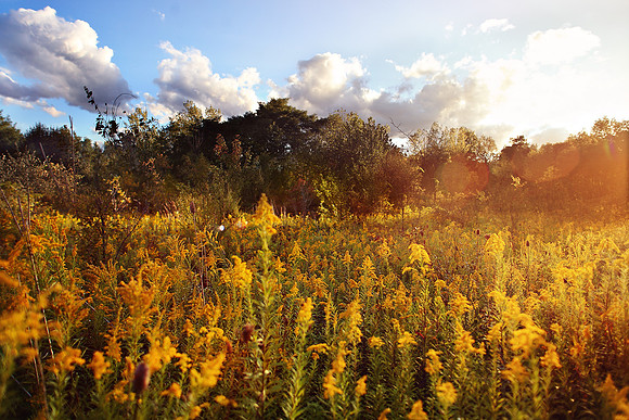Fall in Ohio