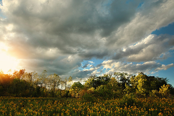 Fall in Ohio