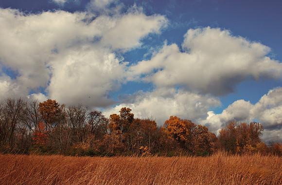 Fall in Ohio