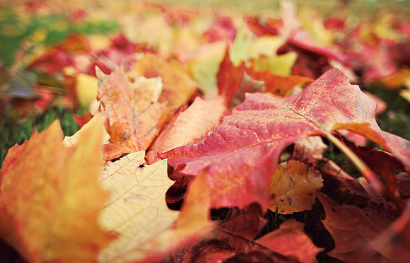 Fall in Ohio
