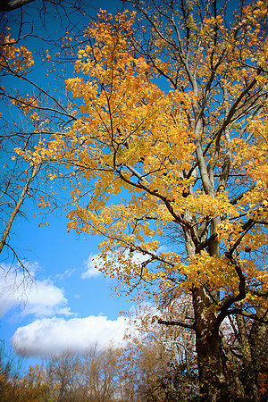 Fall in Ohio