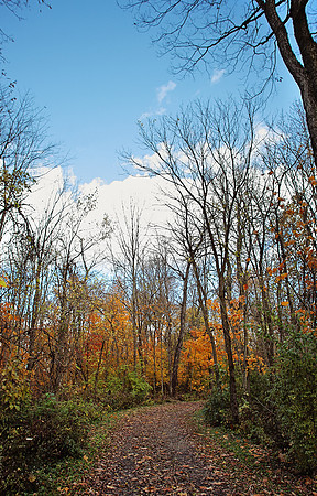 Fall in Ohio