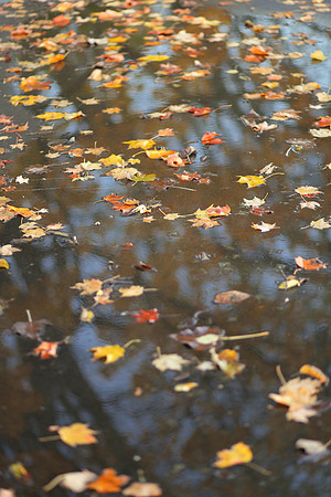 Fall in Ohio