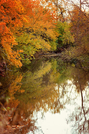 Fall in Ohio