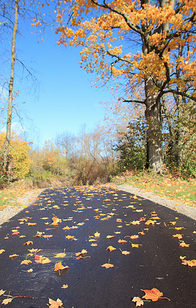 Fall in Ohio
