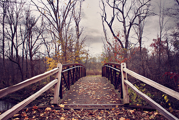 Fall in Ohio