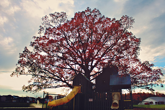 Fall in Ohio