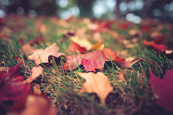 Fall in Ohio
