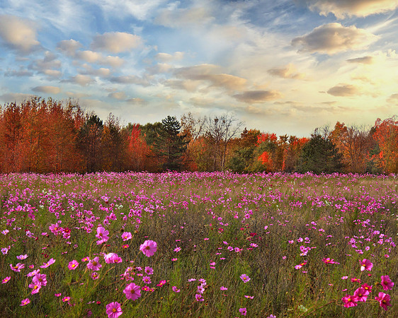 Marysville, Ohio Fall