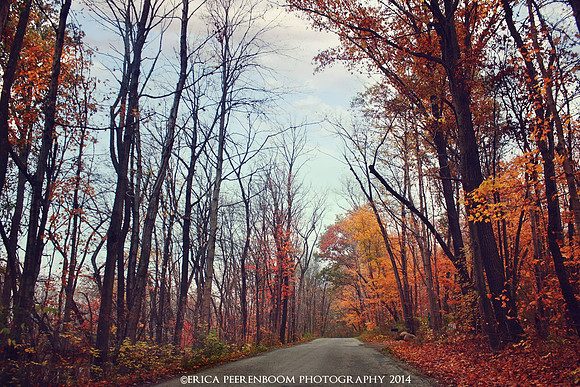 Ohio fall